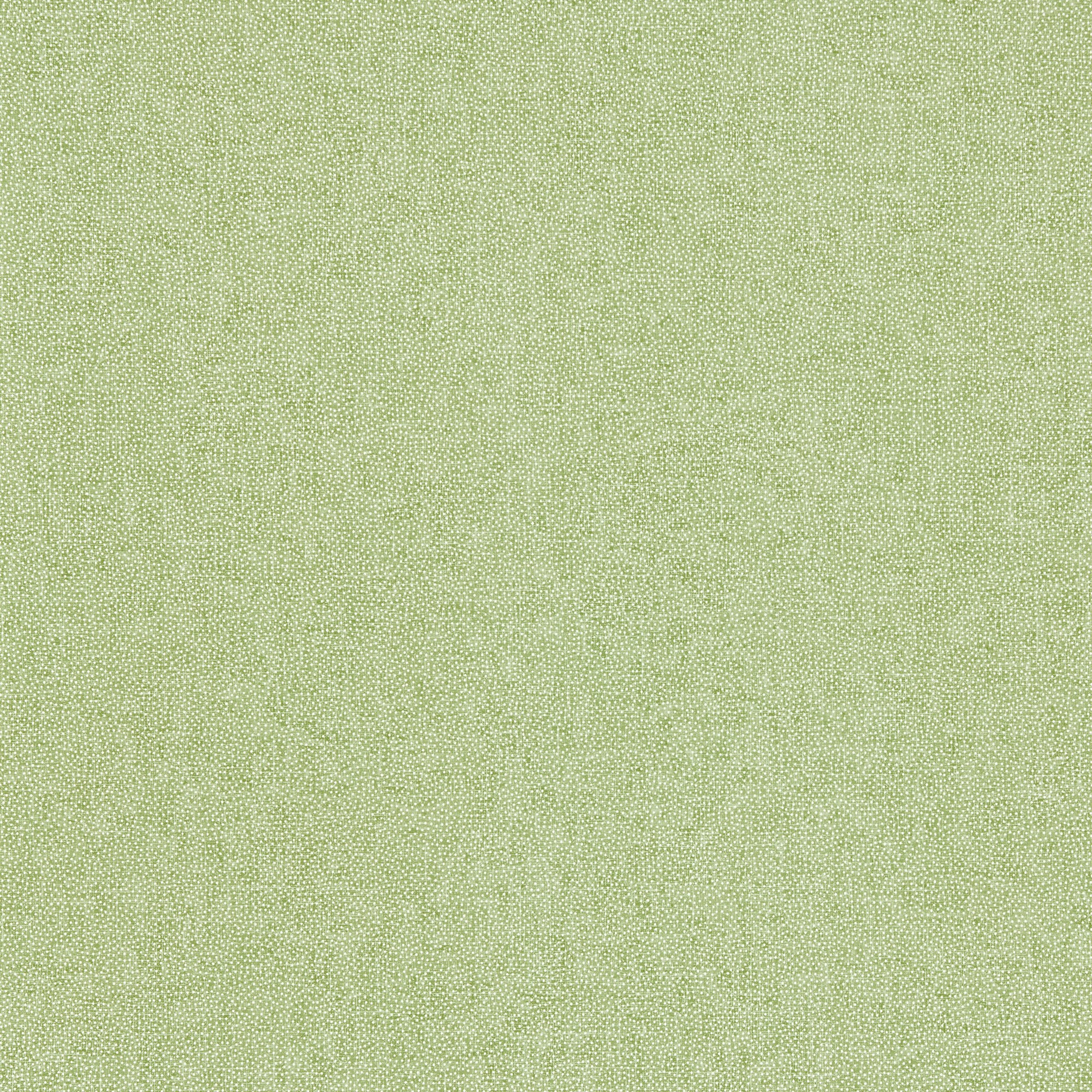 Sessile Plain Wallpaper 217248 By Sanderson In Moss Green